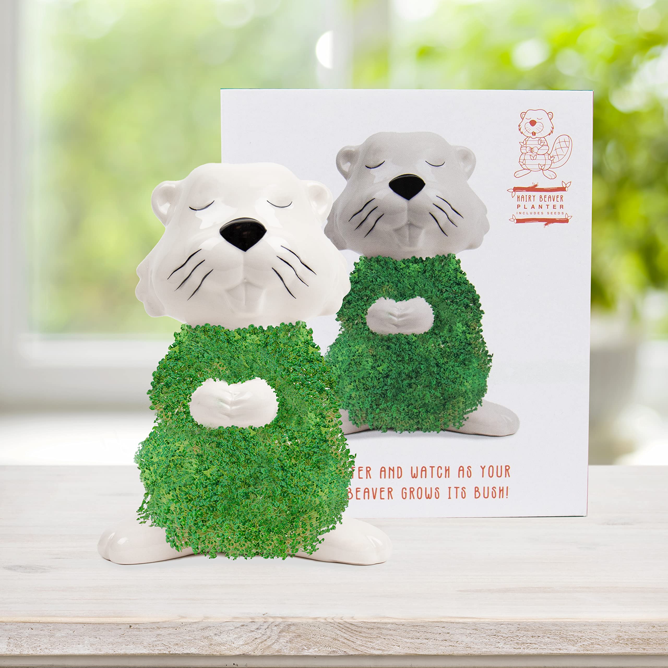 Gift Republic Beaver Planter, Ceramic, None, One-Size : Amazon.co